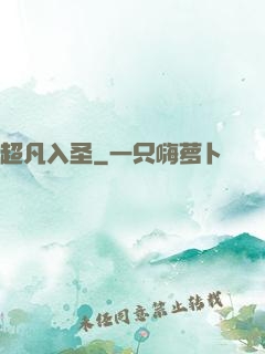 超凡入圣