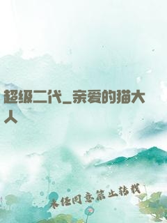 超级二代