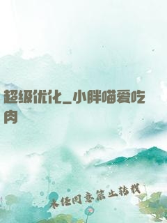 超级优化