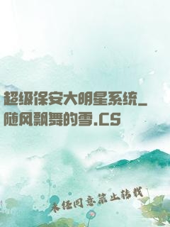 超级保安大明星系统