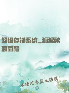 超级存储系统