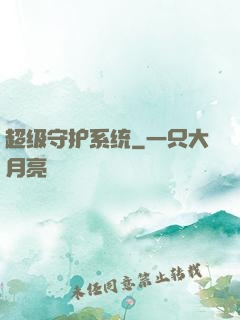 超级守护系统