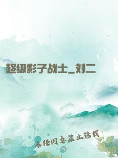 超级影子战士
