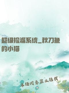 超级捡漏系统