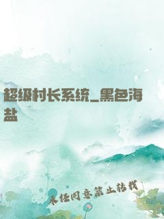 超级村长系统