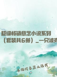 超级畅销悬念小说系列（套装共6册）