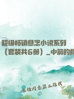 超级畅销悬念小说系列（套装共6册）