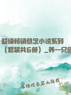超级畅销悬念小说系列（套装共6册）