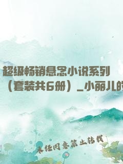 超级畅销悬念小说系列（套装共6册）