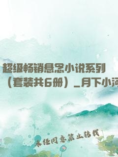 超级畅销悬念小说系列（套装共6册）