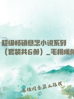 超级畅销悬念小说系列（套装共6册）