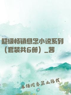 超级畅销悬念小说系列（套装共6册）