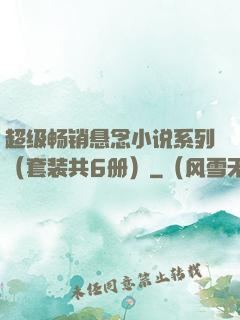 超级畅销悬念小说系列（套装共6册）