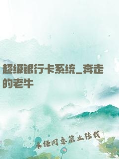 超级银行卡系统
