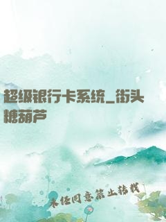 超级银行卡系统