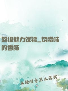 超级魅力保镖