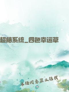 超脑系统