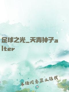 足球之光