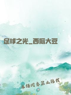 足球之光