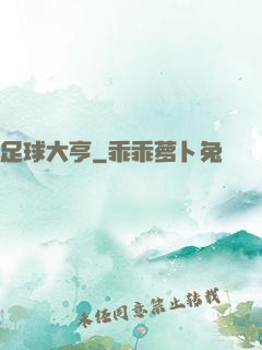 足球大亨