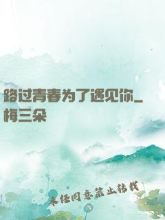 路过青春为了遇见你