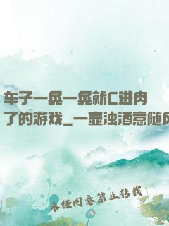 车子一晃一晃就C进肉了的游戏