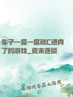 车子一晃一晃就C进肉了的游戏