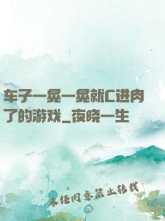车子一晃一晃就C进肉了的游戏