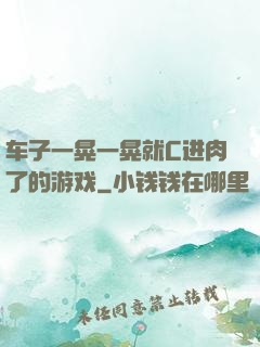 车子一晃一晃就C进肉了的游戏
