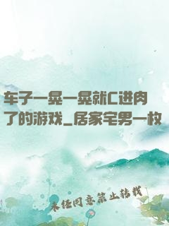 车子一晃一晃就C进肉了的游戏