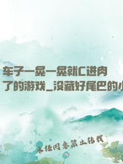 车子一晃一晃就C进肉了的游戏