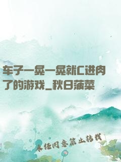 车子一晃一晃就C进肉了的游戏