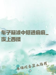车子簸波中挺进麻麻