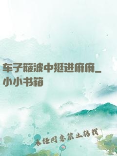 车子簸波中挺进麻麻