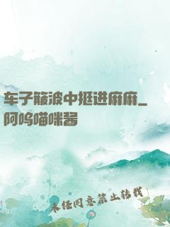 车子簸波中挺进麻麻