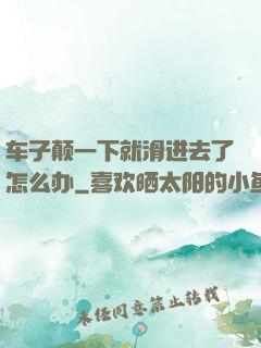车子颠一下就滑进去了怎么办