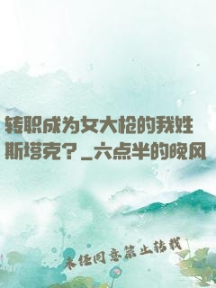 转职成为女大枪的我姓斯塔克？