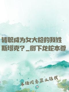 转职成为女大枪的我姓斯塔克？