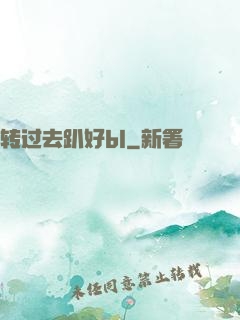 转过去趴好bl