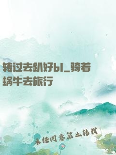 转过去趴好bl