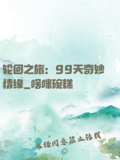 轮回之旅：99天奇妙情缘