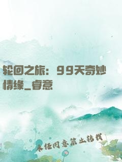 轮回之旅：99天奇妙情缘