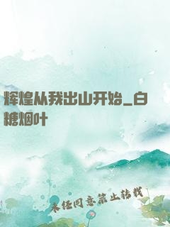 辉煌从我出山开始