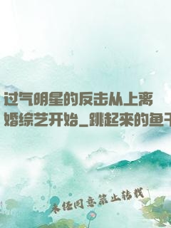 过气明星的反击从上离婚综艺开始