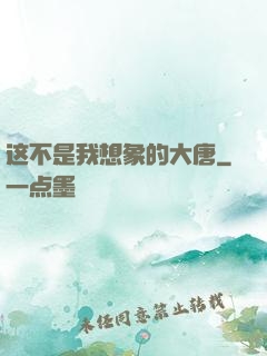 这不是我想象的大唐