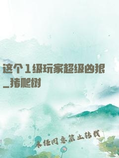 这个1级玩家超级凶狠