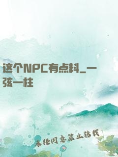 这个NPC有点料