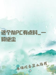 这个NPC有点料