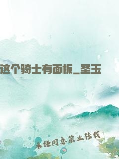 这个骑士有面板
