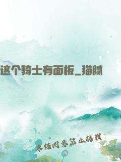这个骑士有面板